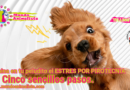 Elimina de tu peludito el Estrés por pirotecnia. www.mundoanimalista.com