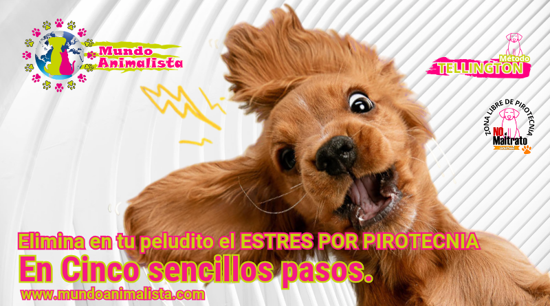 Elimina de tu peludito el Estrés por pirotecnia. www.mundoanimalista.com