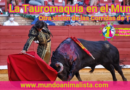 La Tauromaquia en el mundo - www.mundoanimalista.com